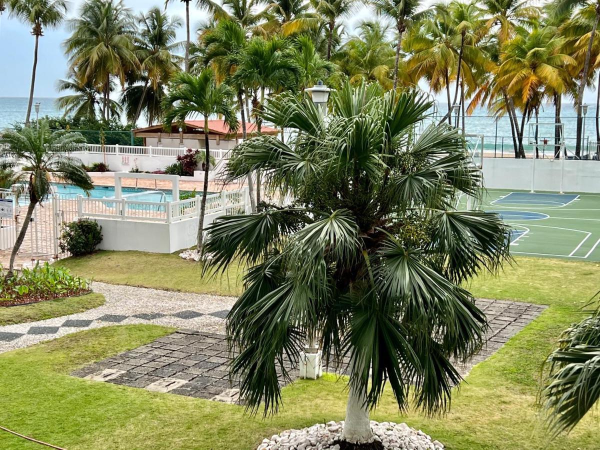 Hobie Oceanfront Apartment At Isla Verde San Juan Exterior foto